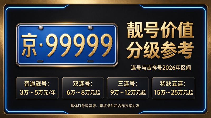 北京小牛京牌正规租赁服务展示